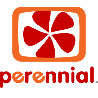 perennial